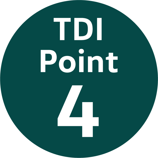 TDI Point 4